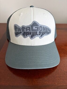 Patagonia Take a Stand Trucker Hat